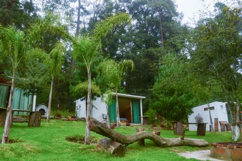 Bed & Breakfast Romanticas Caba�as En Bosque