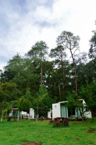 Bed & Breakfast Romanticas Caba�as En Bosque