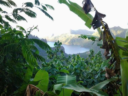 Hostal Fare Manutea