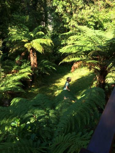 The Ferns Hideaway