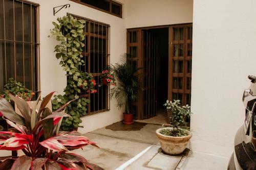 Apartamento Loft Allende