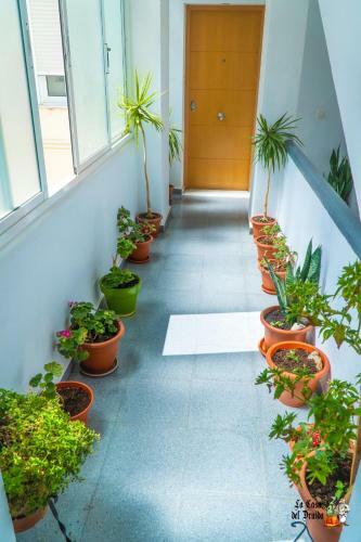 Apartamento La Casa Del Druida