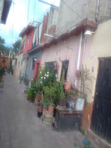 Casa De La Vega Featuring Mango Dulce's Cocina