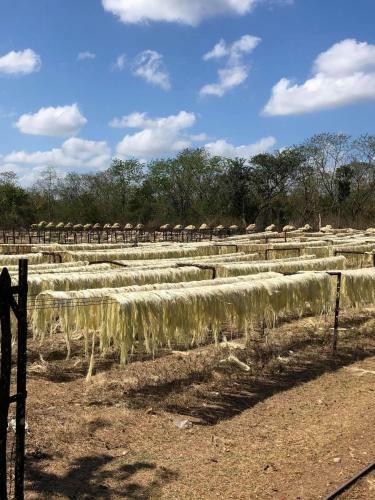 Villa Casa Ak�