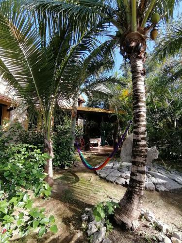Agroturismo Villas Tortugas Akumal