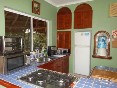 Apartamento Casa Gatos One Bedroom Apt