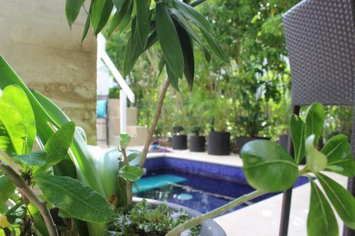 Apartamento Comfortable Unique House Wonderful Private Patio With Splash Pool Amazing Facilities