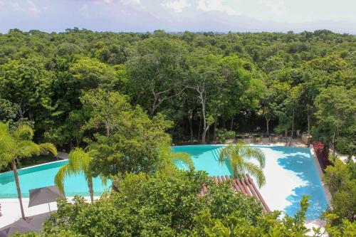 Fantastic Apartment Sensational Private Terrace With Pool View Surrounded By Lush Gardens