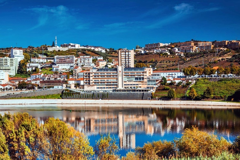 Hotel Regua Douro