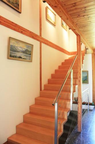 Dualhaus Apartments