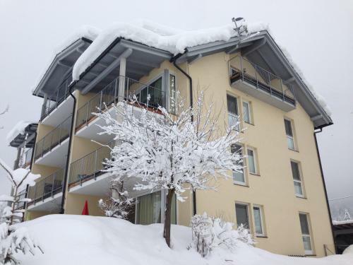 Apartamentos Appartements De Luxe Schluga