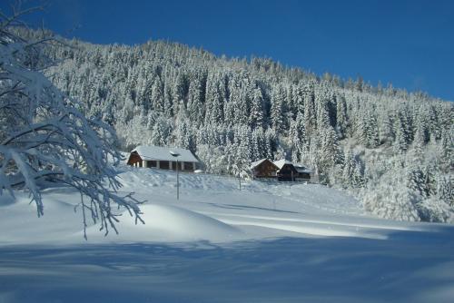 Hostal Gasthof Thurnerhof