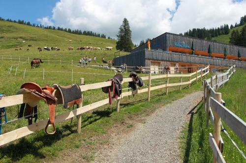 Hostal Haus Matt
