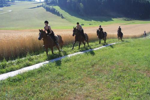 Hostal Sportpension Ramlhof