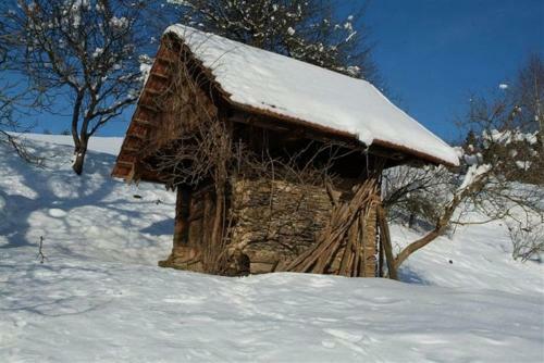 Hostal G�stehaus Freitag
