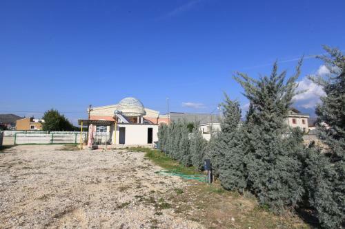 Camping Green House