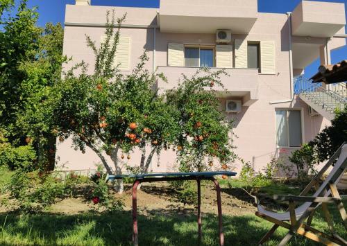 Olive B&B