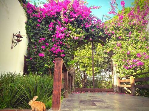 Hotel Casa De Las Luci�rnagas