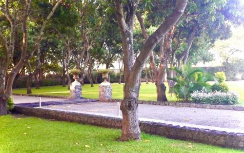 Hotel Casa De Las Luci�rnagas