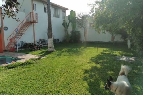 Apartamento Hermosa Casa En Alpuyeca Para Descansar