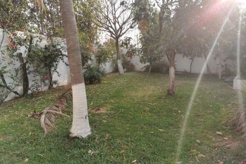 Apartamento Hermosa Casa En Alpuyeca Para Descansar