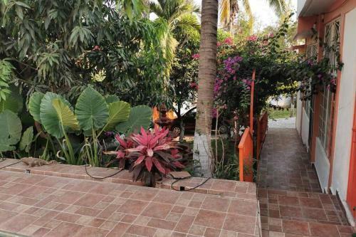 Apartamento Hermosa Casa En Alpuyeca Para Descansar