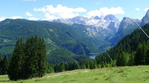 Apartamento Alpenhaus Dachstein.zauber