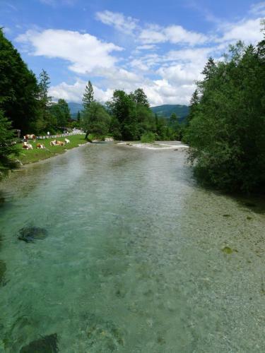 Apartamento Alpenhaus Dachstein.zauber