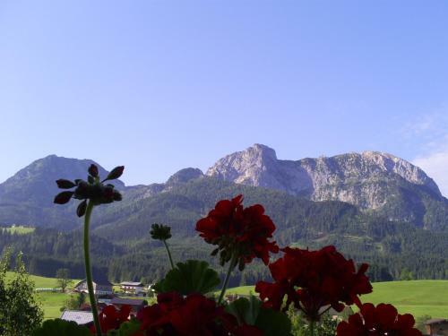 Apartamento Landhaus Hirterh�tte