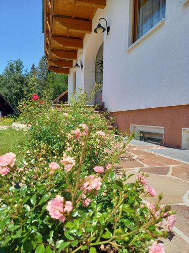 Apartamento Lederhof