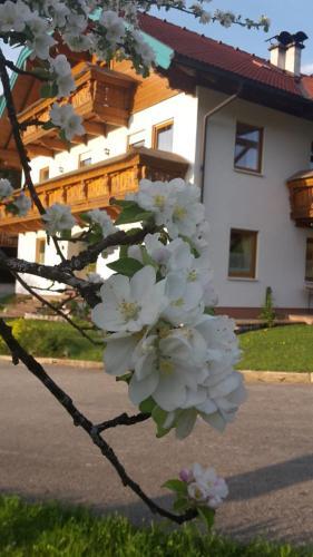 Apartamento Lederhof