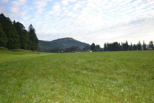 Apartamento Ferienwohnung Hinterwinkl