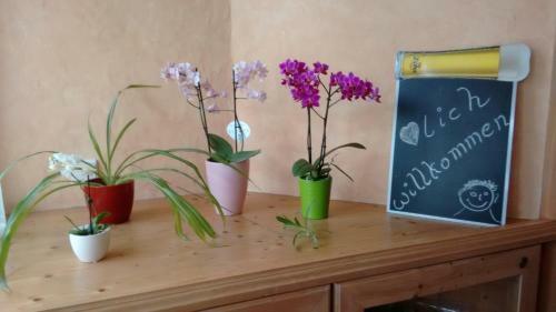 Apartamento Fasslreiter