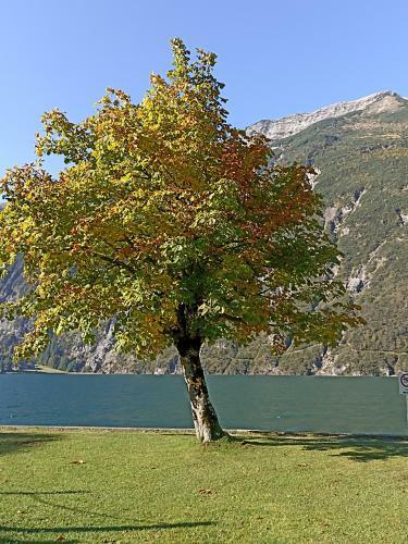 Apartamento Ferienwohnung Stubenb�ck