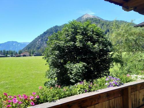 Agroturismo Tischlerhof