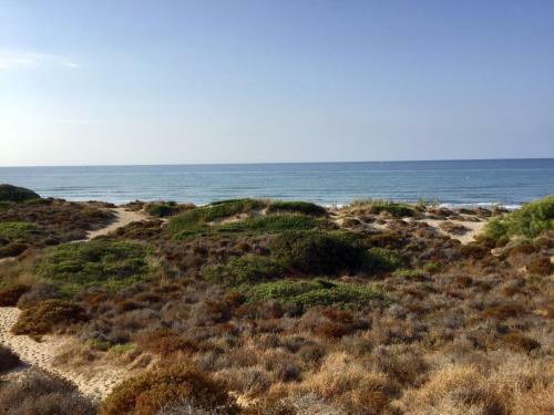 Apartamento Dunas Cabopino