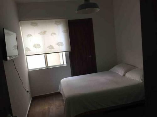 La Casa De Titi