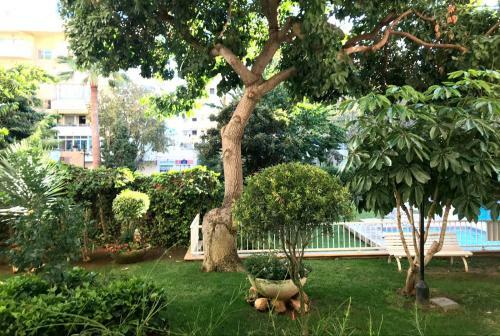 Apartamento Euromar 2 Playa Fontanilla