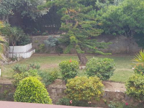 Villa Africa