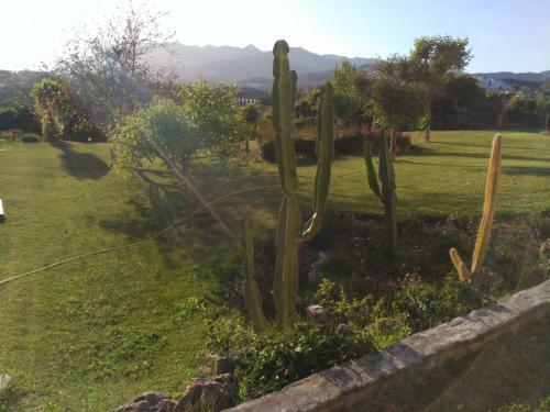 Apartamento Jacaranda