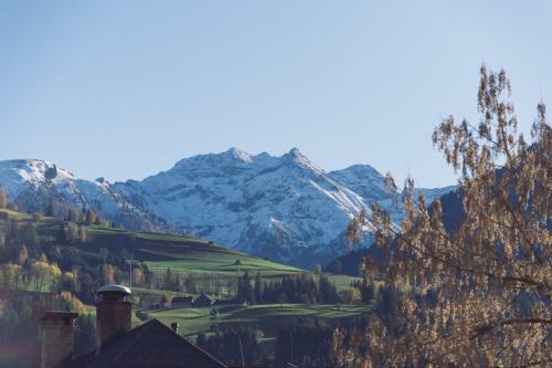 Chalet Am See