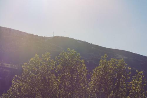 Chalet Am See