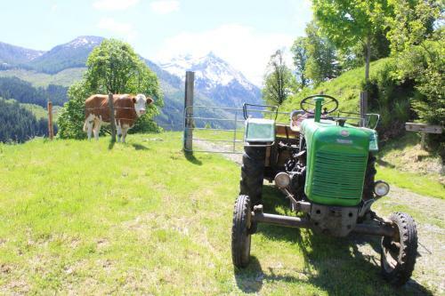 Agroturismo Zauneralm