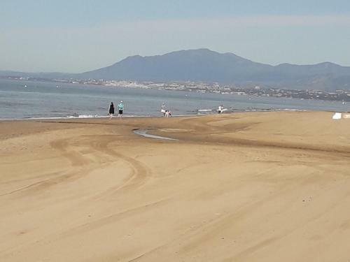 Apartamento Marbella. Playa Alicate