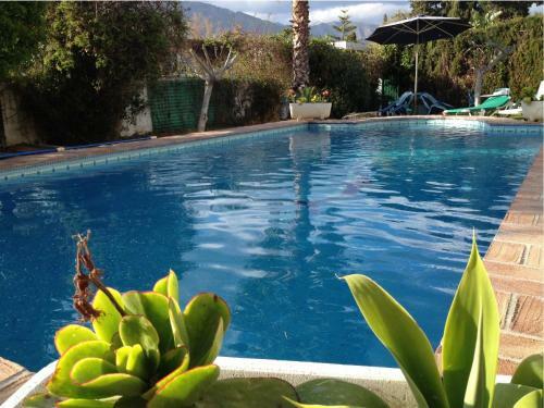 Villa Jazmines