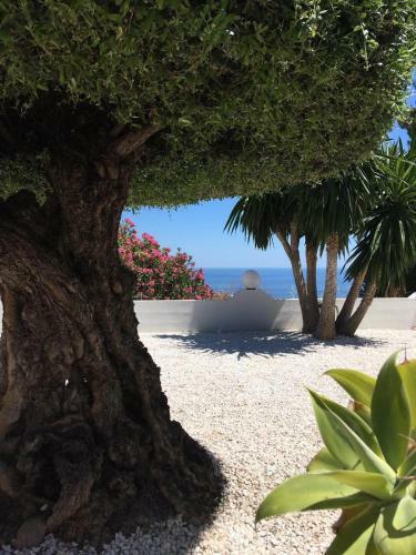 Bed & Breakfast Casa Capricornio