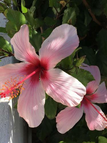 Bed & Breakfast Casa Capricornio