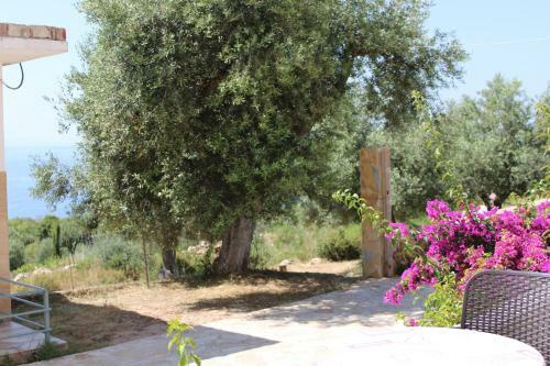 Hostal Penelope 2
