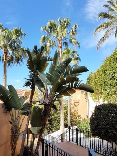 Ample Luxury Apart. Fancy Marbella