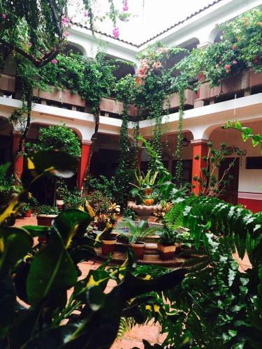 Hotel Posada Del Balsas